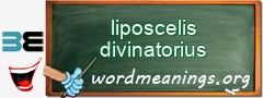 WordMeaning blackboard for liposcelis divinatorius